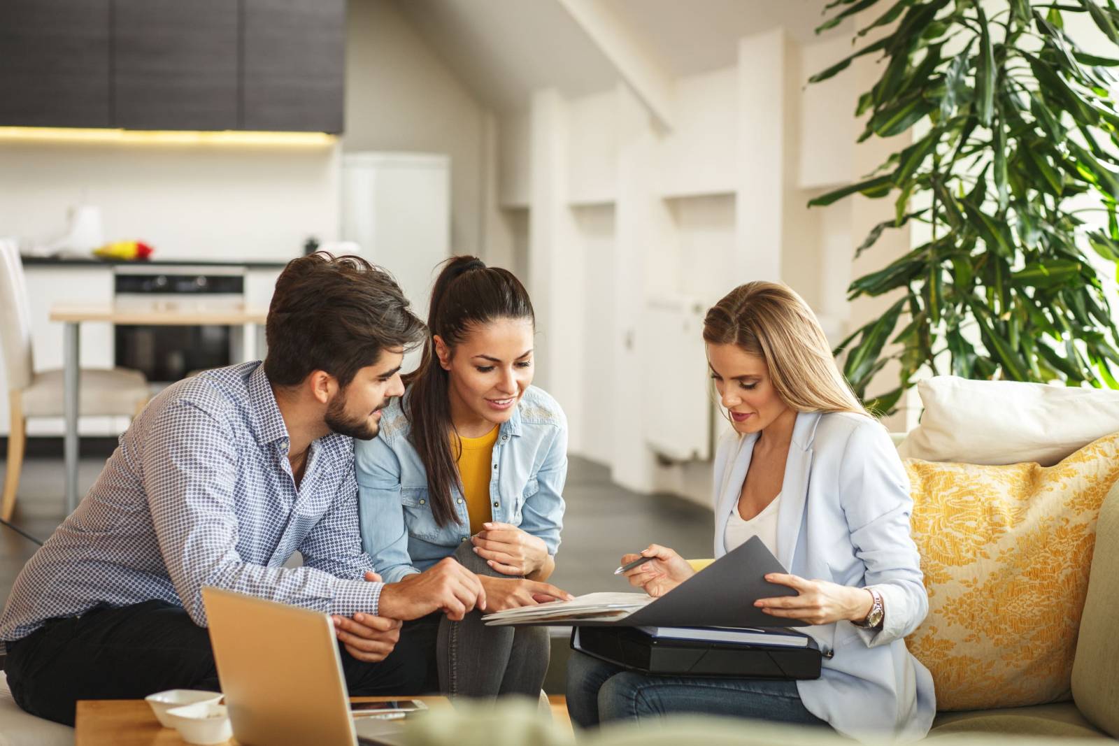Entreprises cherchent locaux professionnels en Haute Garonne
