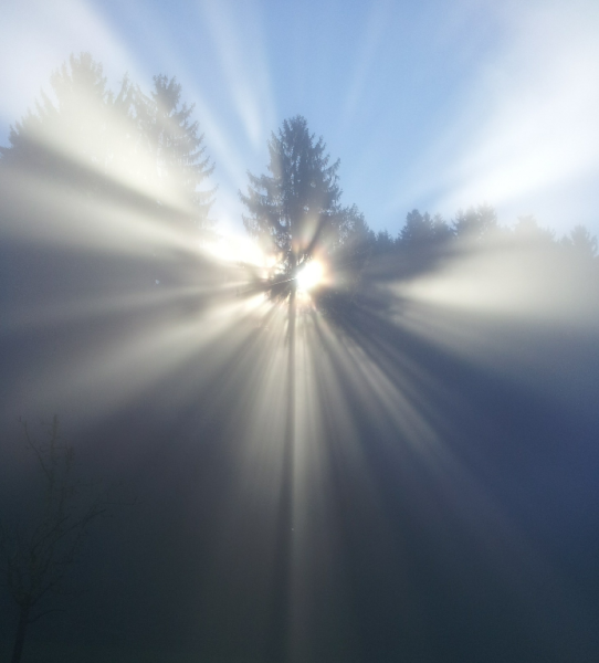 Vos locaux d’activités tertiaires de plus de 1000 m² : Mettre en Œuvre le Décret tertiaire en Haute-Garonne