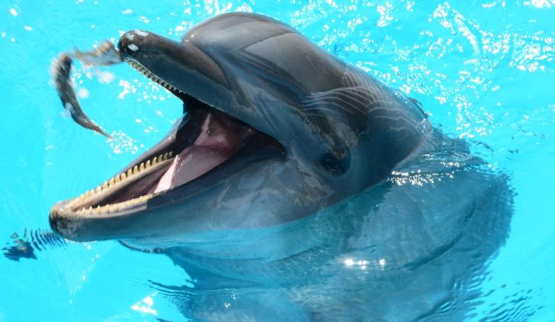 Choisissez des locaux professionnels adaptés en immobilier d’entreprise pour améliorer le bien-être au travail à Toulouse et en Haute-Garonne